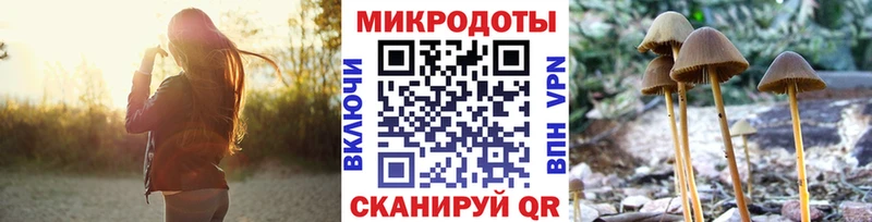 Галлюциногенные грибы Cubensis  где купить наркоту  Энем 